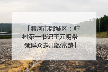漯河市郾城区：驻村第一书记王元明带领群众走出致富路